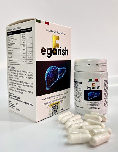 gan 5.jpg